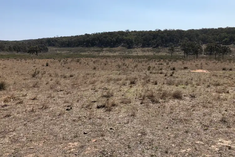 Seventh view of Homely rural property listing, 1019 Durridgerie Road, Mudgee NSW 2850