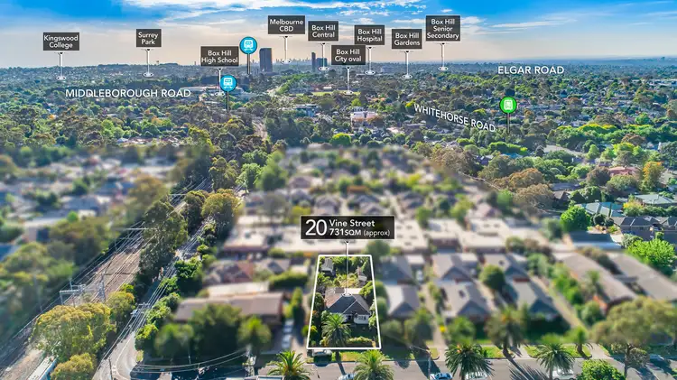 Second view of Homely house listing, 20 Vine Street, Blackburn VIC 3130