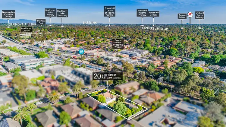 Third view of Homely house listing, 20 Vine Street, Blackburn VIC 3130