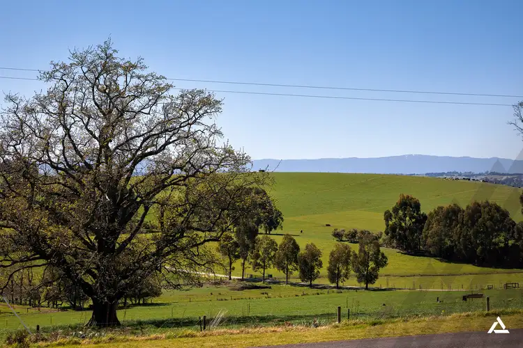 Fifth view of Homely house listing, 1020 Jacksons Track, Jindivick VIC 3818