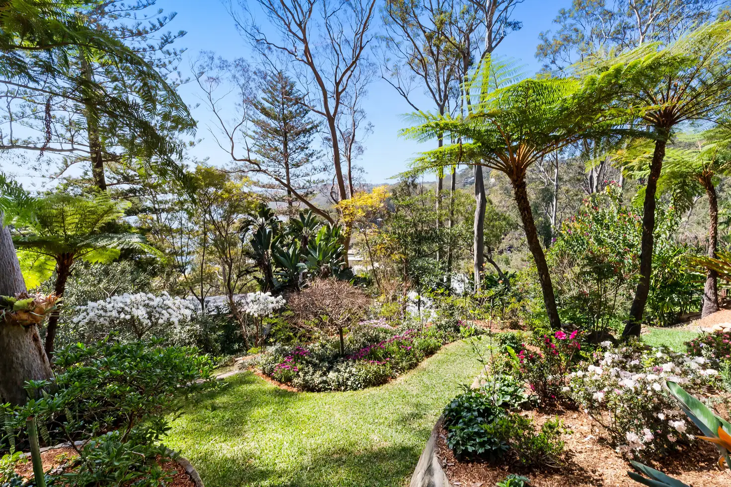 Main view of Homely house listing, 54 Wandeen Road, Avalon Beach NSW 2107