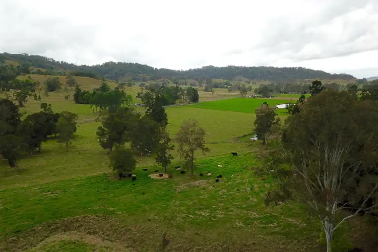 Fifth view of Homely rural property listing, 870 Jiggi Road, Jiggi NSW 2480