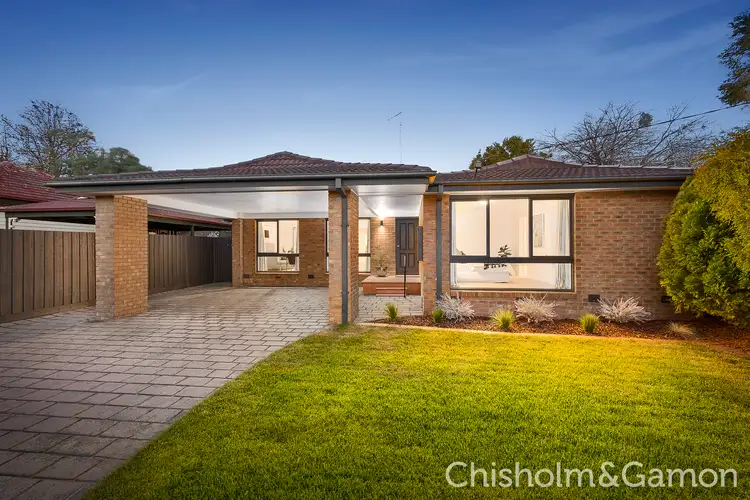 14 Paul Street, Cheltenham VIC 3192