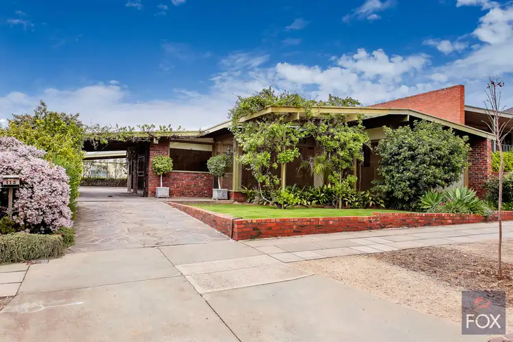 113 Kingston Terrace, North Adelaide SA 5006