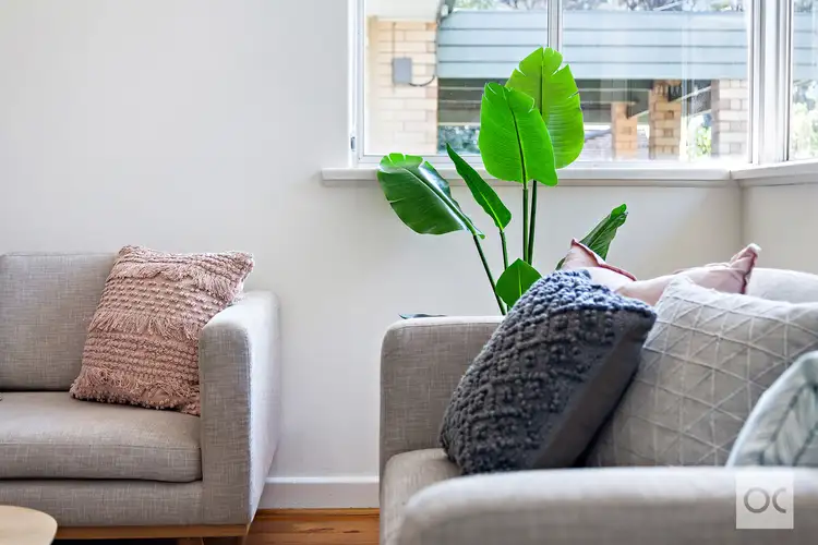 Second view of Homely unit listing, 3/147 Third Avenue, Royston Park SA 5070