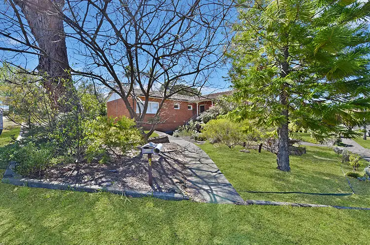 33 Starkey Street, Forestville NSW 2087