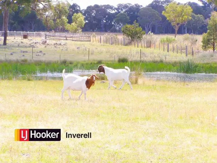 Second view of Homely rural property listing, 1178 Moredun Dams Road, Inverell NSW 2360