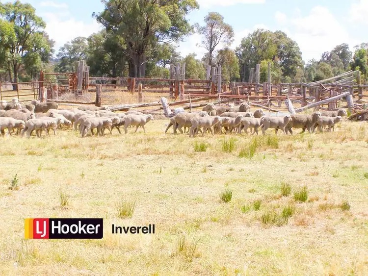 Third view of Homely rural property listing, 1178 Moredun Dams Road, Inverell NSW 2360