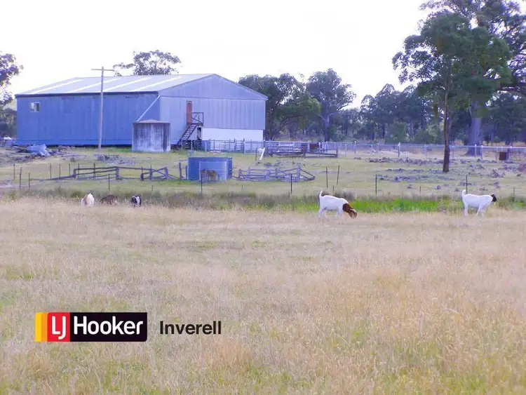 Fifth view of Homely rural property listing, 1178 Moredun Dams Road, Inverell NSW 2360