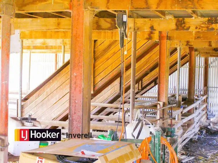 Seventh view of Homely rural property listing, 1178 Moredun Dams Road, Inverell NSW 2360