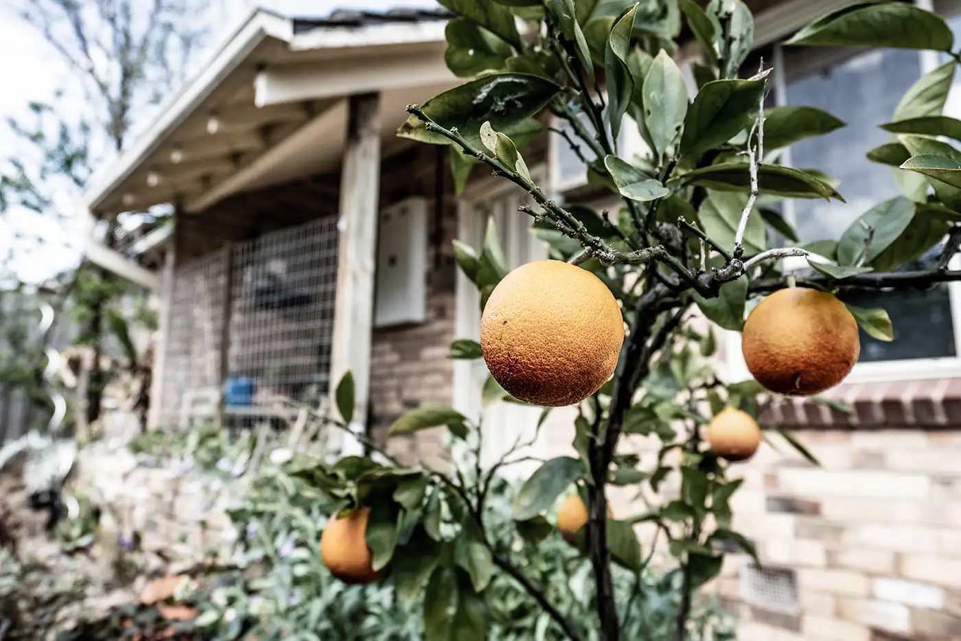 Main view of Homely house listing, 5 Collins Street, Heidelberg Heights VIC 3081