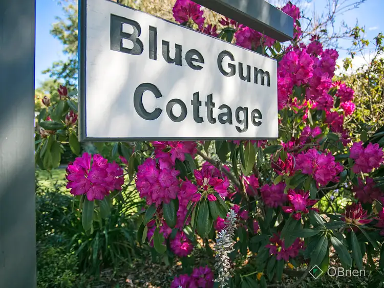 Second view of Homely house listing, 38 Maxwell Court, Langwarrin VIC 3910