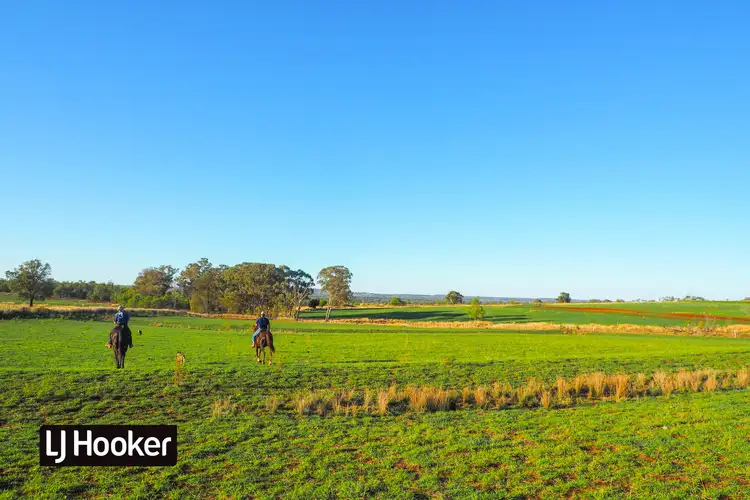 Second view of Homely rural property listing, 8075 Gwydir Highway, Inverell NSW 2360