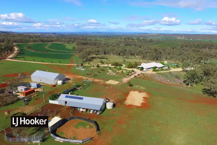 Fifth view of Homely rural property listing, 8075 Gwydir Highway, Inverell NSW 2360