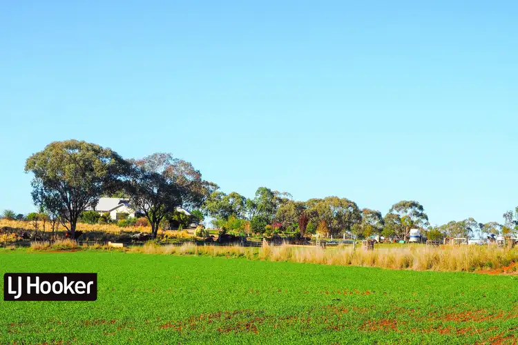 Sixth view of Homely rural property listing, 8075 Gwydir Highway, Inverell NSW 2360
