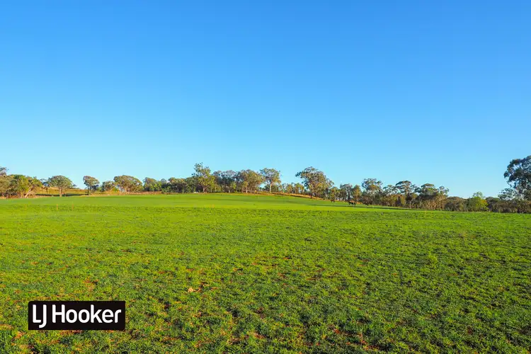 Seventh view of Homely rural property listing, 8075 Gwydir Highway, Inverell NSW 2360