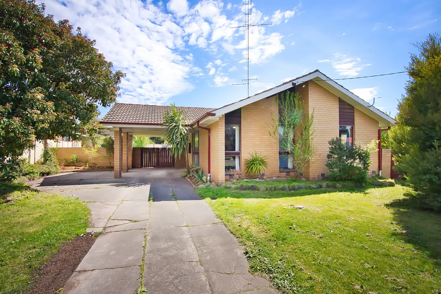 Main view of Homely house listing, 11 Sainsbury Court, Mount Clear VIC 3350