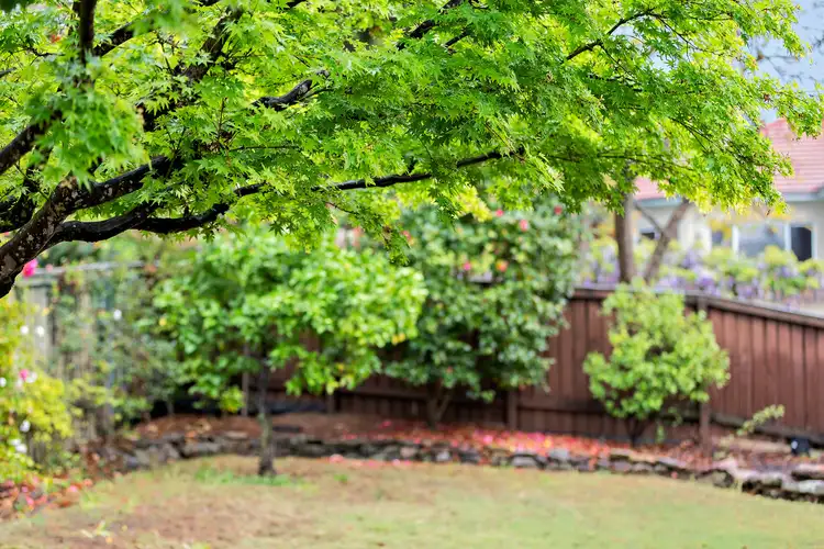 Sixth view of Homely house listing, 38 Grigg Avenue, North Epping NSW 2121