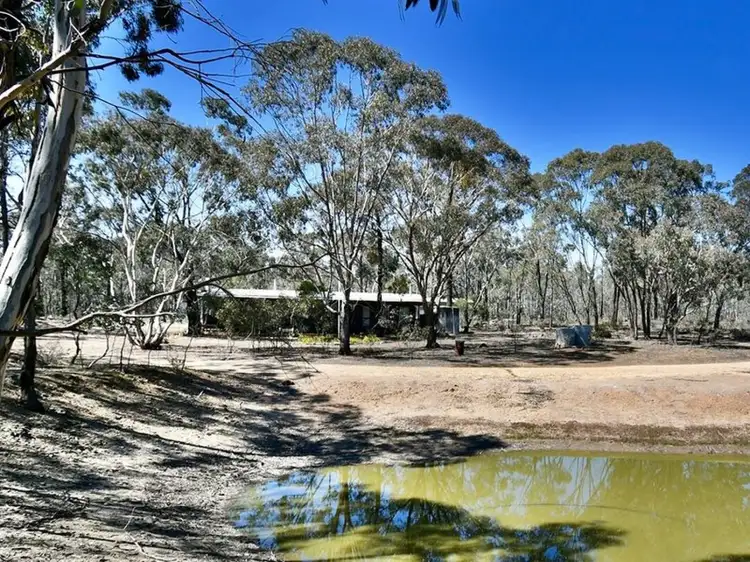 Second view of Homely house listing, 127 Newitts Lane, Bealiba VIC 3475