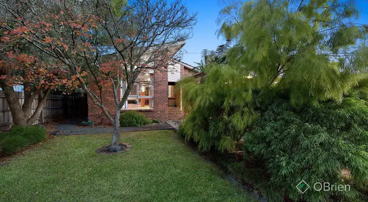 Main view of Homely house listing, 20 Maple Street, Langwarrin VIC 3910