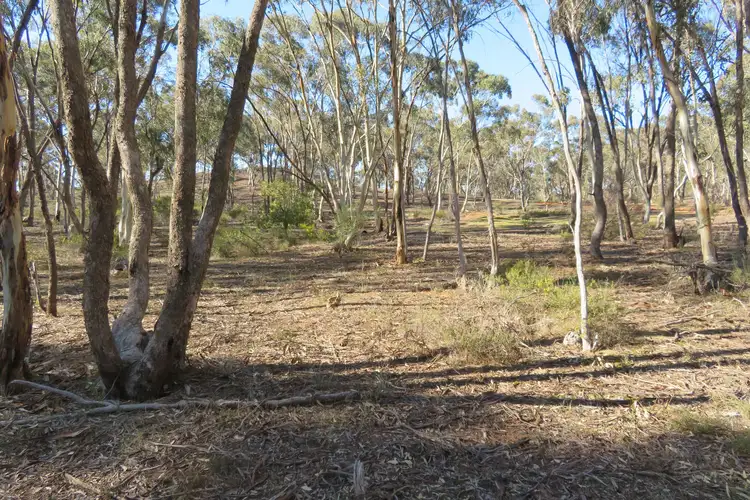 Main view of Homely rural property listing, CA 8A Bobsiens Hill Road, Wedderburn VIC 3518
