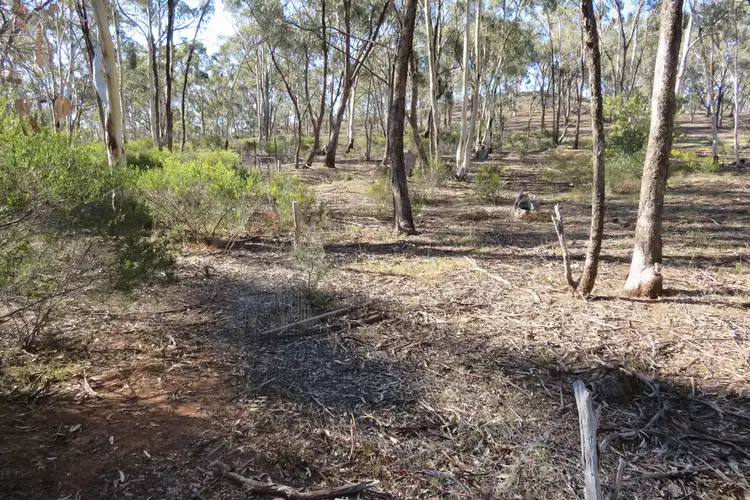 Second view of Homely rural property listing, CA 8A Bobsiens Hill Road, Wedderburn VIC 3518