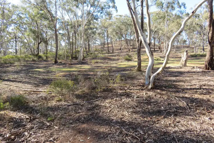 Fifth view of Homely rural property listing, CA 8A Bobsiens Hill Road, Wedderburn VIC 3518