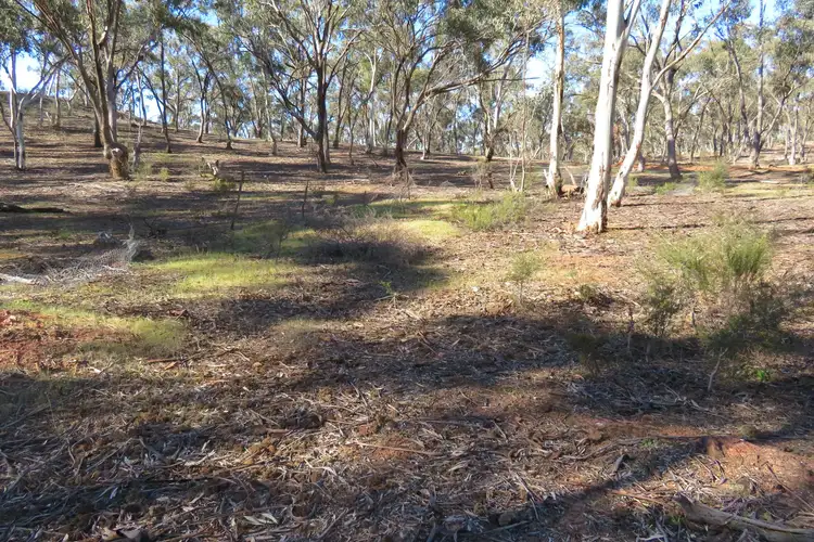 Seventh view of Homely rural property listing, CA 8A Bobsiens Hill Road, Wedderburn VIC 3518