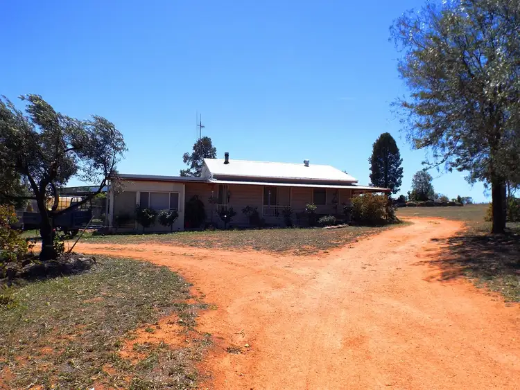 Fourth view of Homely rural property listing, 447 Dilladerry Road, Tomingley NSW 2869