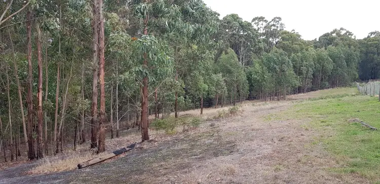 Third view of Homely rural property listing, 55 Lyndons Road, Callignee VIC 3844