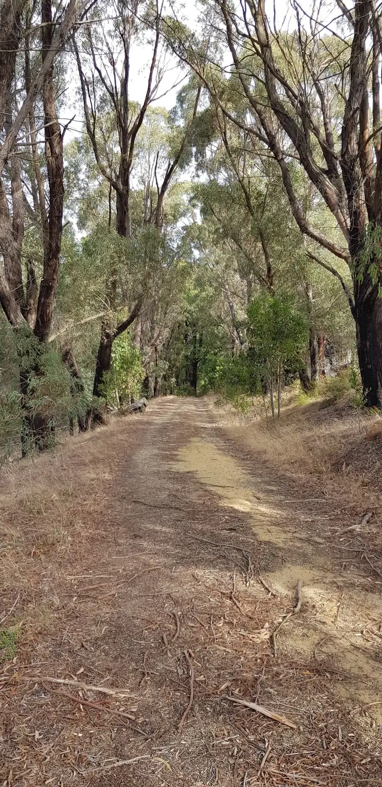 Sixth view of Homely rural property listing, 55 Lyndons Road, Callignee VIC 3844