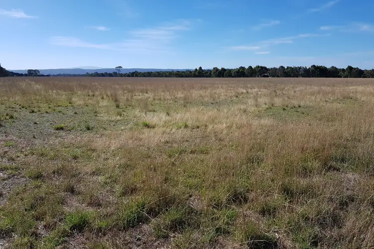 Sixth view of Homely rural property listing, LOT 4 Sale-Toongabbie Road, Toongabbie VIC 3856