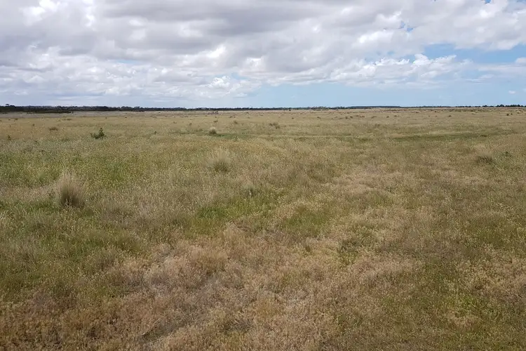 Fifth view of Homely rural property listing, LOT 1 Hanrattys Road, Hunterston VIC 3971