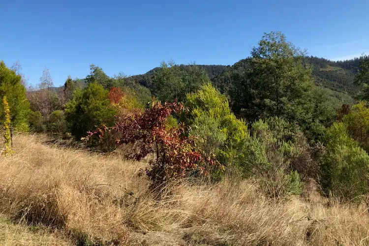 Second view of Homely land listing, LOT 70 Settlers Road, Koornalla VIC 3844