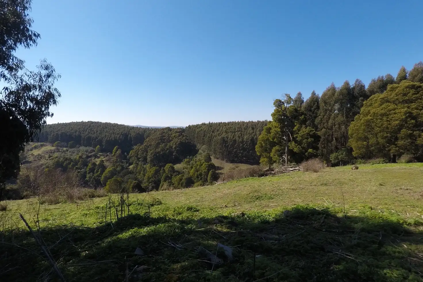 Main view of Homely rural property listing, 1145 Whitelaws Track, Budgeree VIC 3870