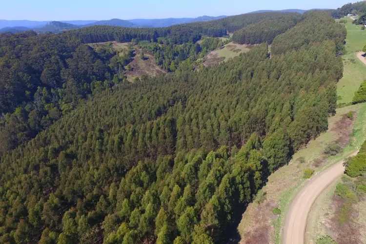 Fifth view of Homely rural property listing, 1145 Whitelaws Track, Budgeree VIC 3870