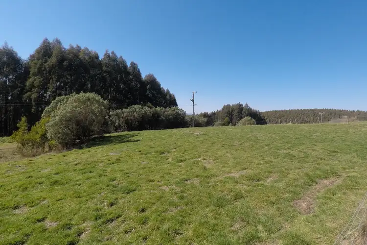 Sixth view of Homely rural property listing, 1145 Whitelaws Track, Budgeree VIC 3870