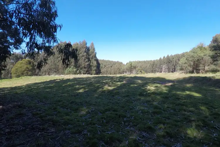 Seventh view of Homely rural property listing, 1145 Whitelaws Track, Budgeree VIC 3870