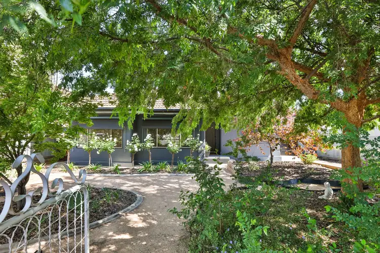 219 Walnut Avenue, Mildura VIC 3500