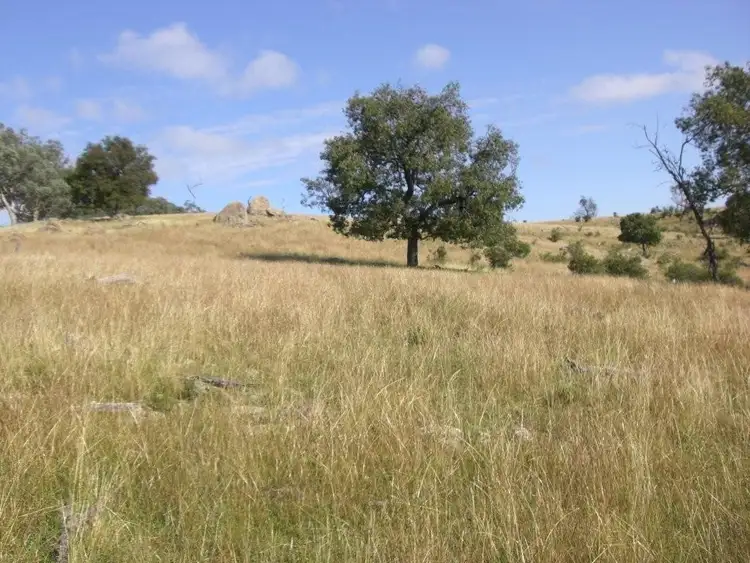 Second view of Homely rural property listing, 956 Highland Home Road, Mudgee NSW 2850