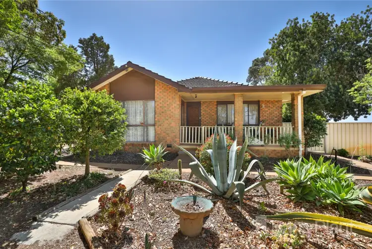 217 Boronia Crescent, Coomealla NSW 2717