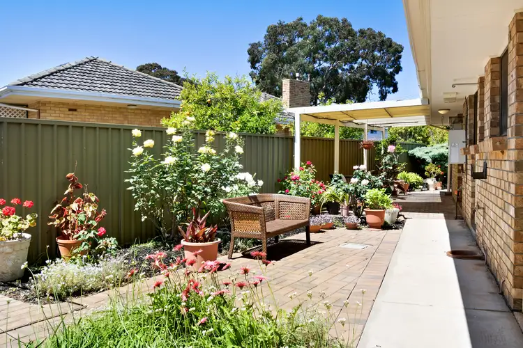 Third view of Homely unit listing, 1/3 Pine Avenue, Warradale SA 5046