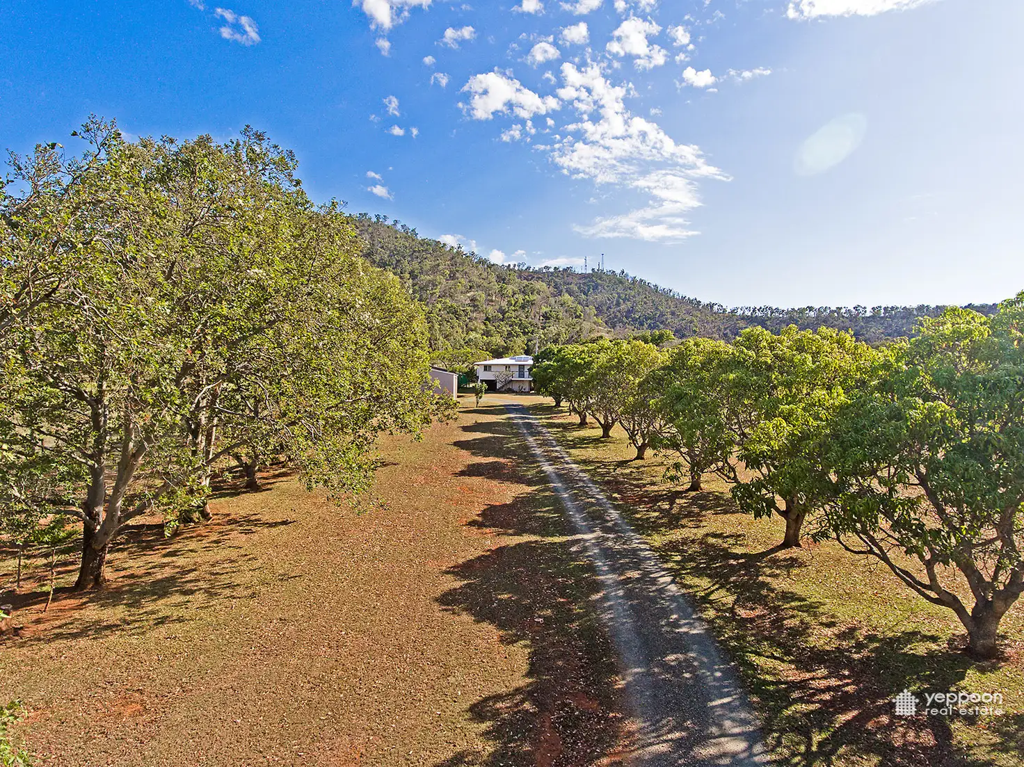 Main view of Homely rural property listing, 455 Adelaide Park Road, Adelaide Park QLD 4703