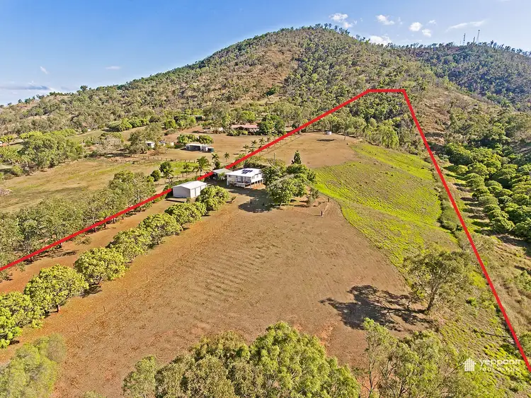 Second view of Homely rural property listing, 455 Adelaide Park Road, Adelaide Park QLD 4703