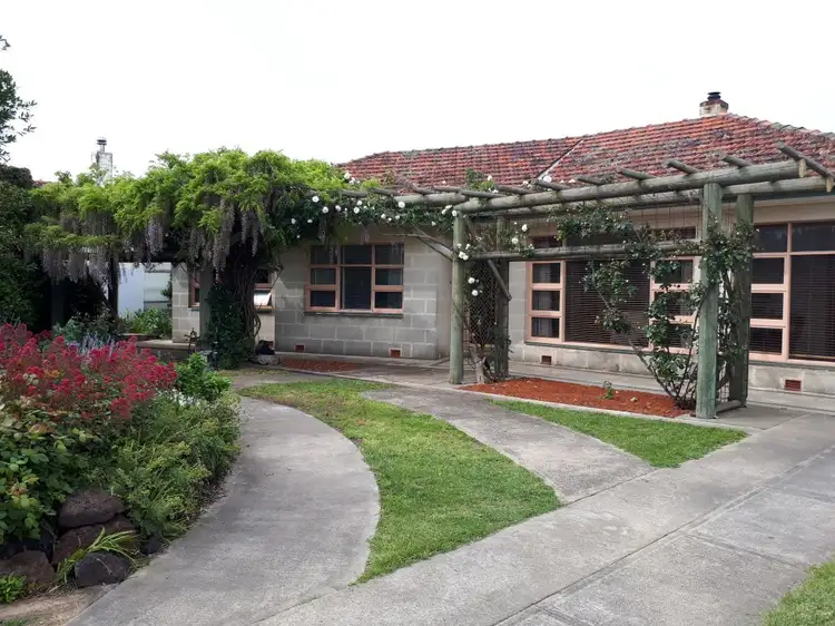 115 Williams Road, Millicent SA 5280