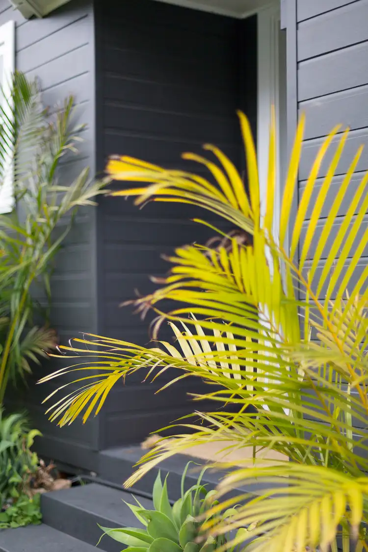 Fifth view of Homely house listing, 14 Laurie Road, Manly Vale NSW 2093