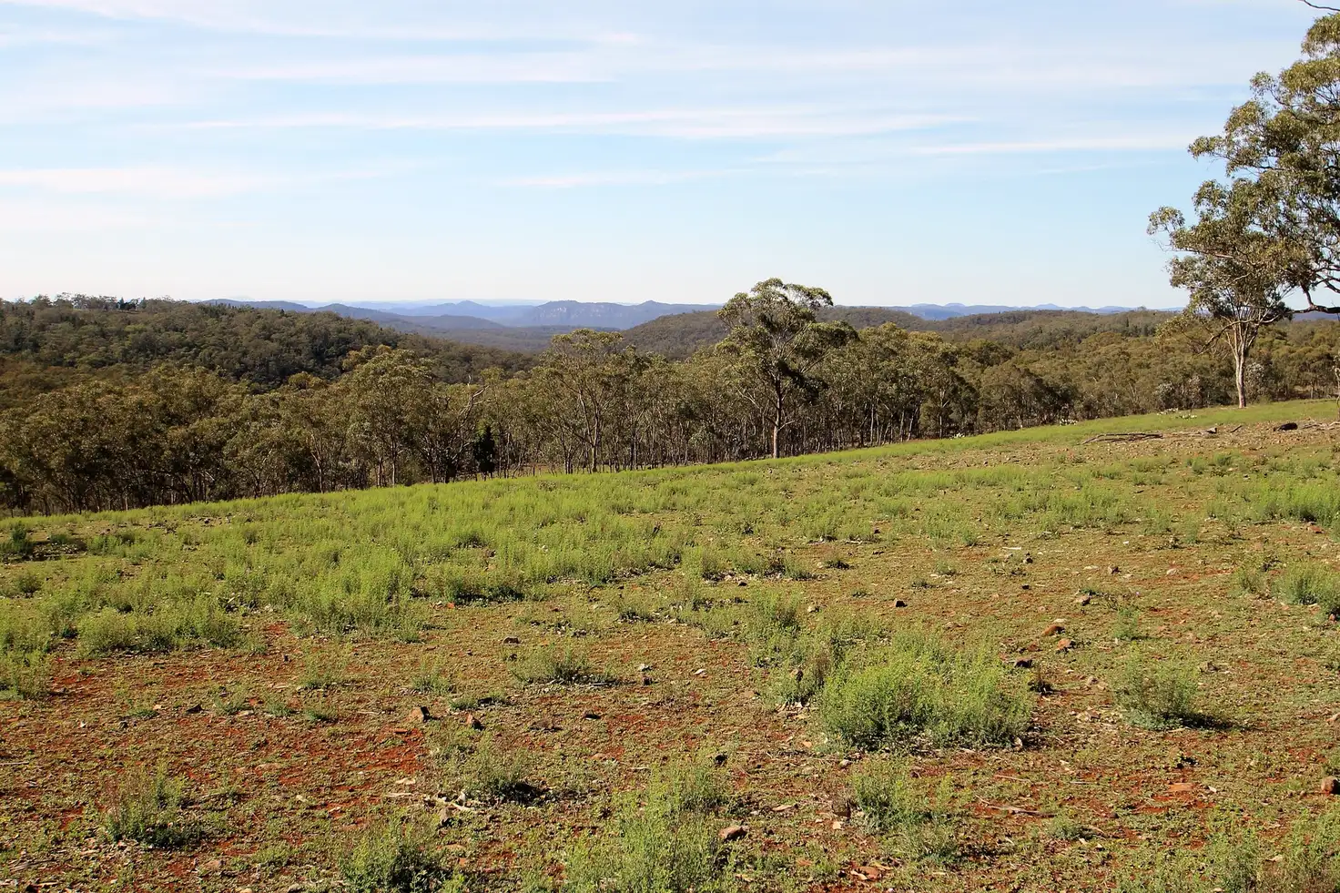 Main view of Homely rural property listing, 1238 Mogo Road, Mudgee NSW 2850