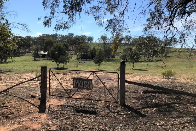 Fourth view of Homely rural property listing, 1238 Mogo Road, Mudgee NSW 2850