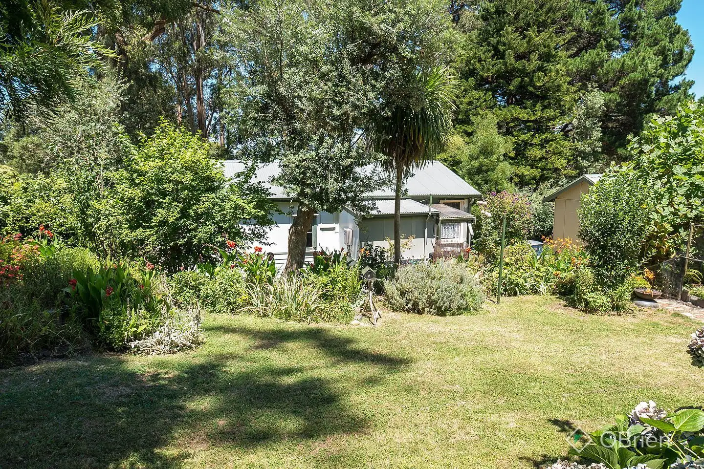 Main view of Homely house listing, 91 Alexander Avenue, Upwey VIC 3158