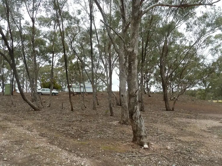 Third view of Homely rural property listing, CA 5B Richmond Plains Road, Wedderburn VIC 3518